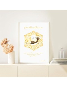 lámina segundo chakra